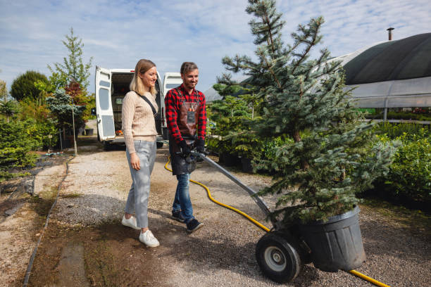 Best Leaf Removal  in Little Walnut Village, NM